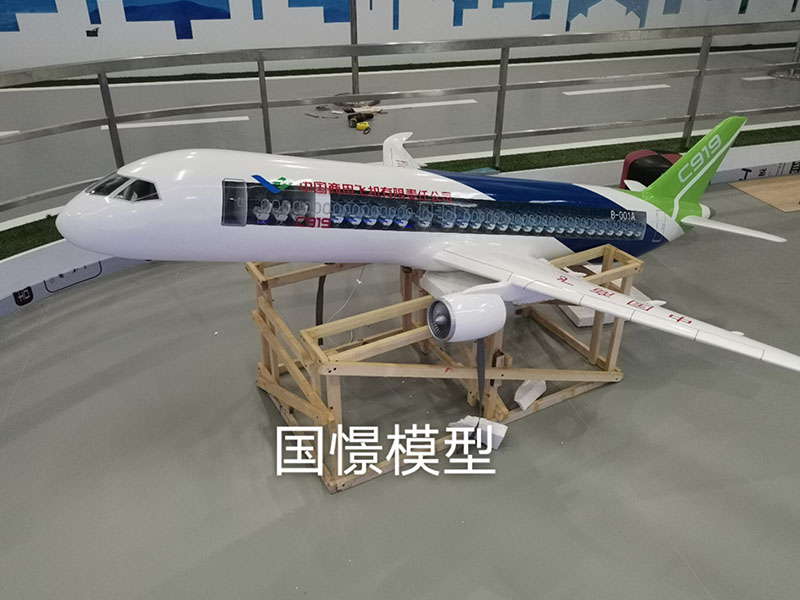 鞍山飞机模型